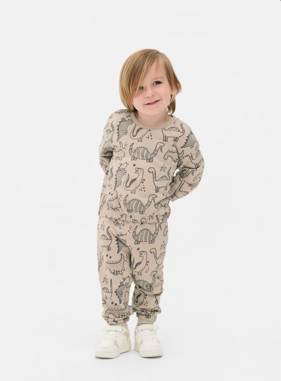 Dinasour Sweatshirts & Joggers