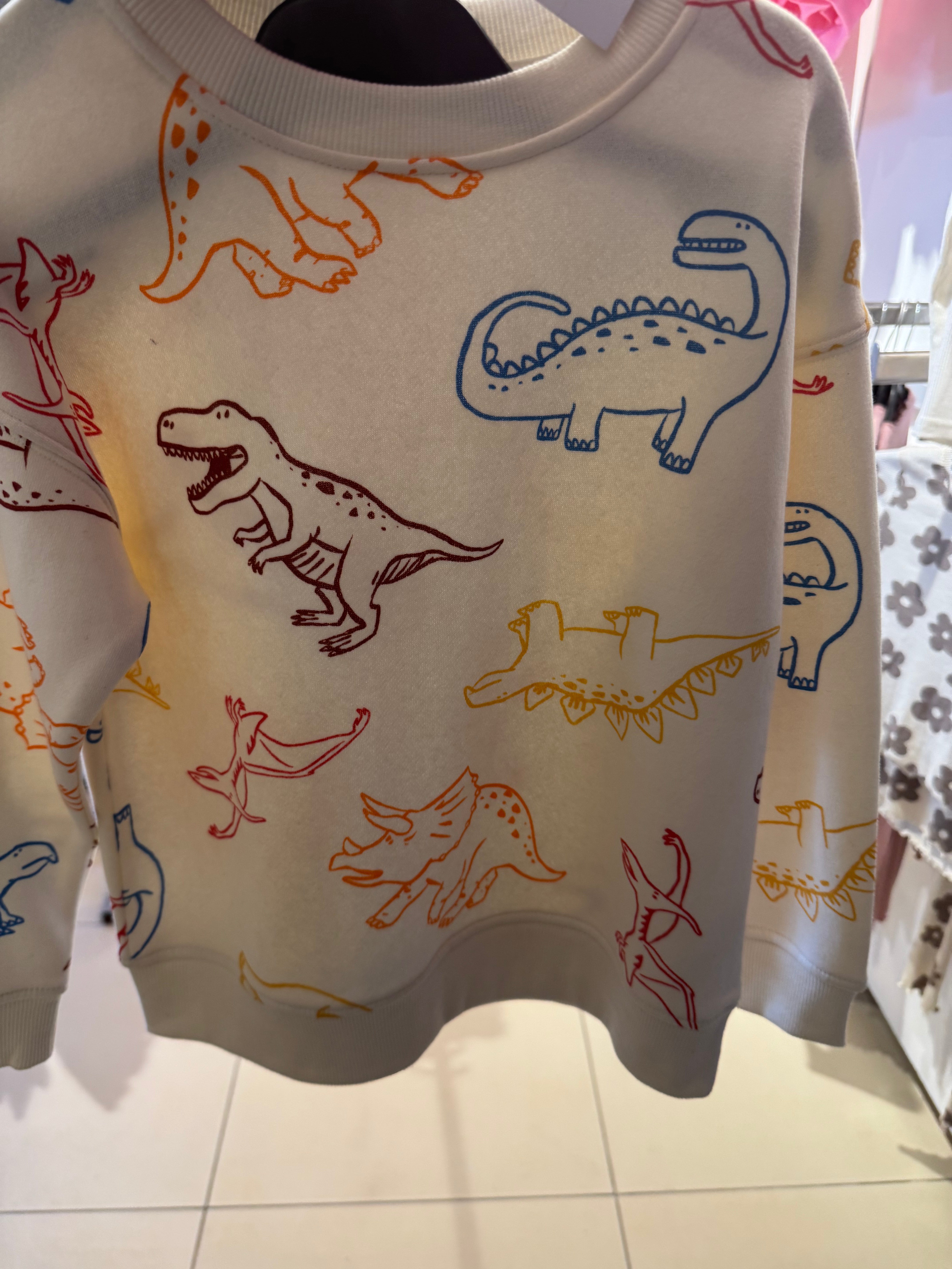 Dinasour Sweatshirt